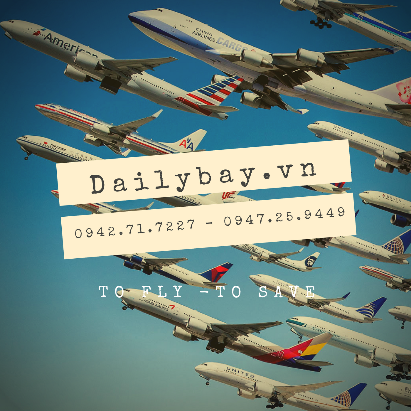 Câu Hỏi Về Dailybay